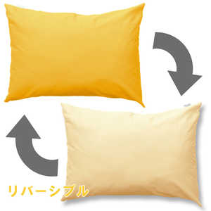  ꡼ʥ С FROM ե ꡼ʥ (MerryNight)  4363cm /ס