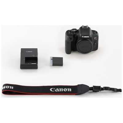 キャノン Canon EOS 80D タブルレンズセット 三脚【1m】付き