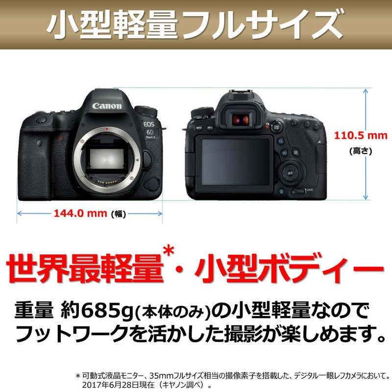 キヤノン　CANON キヤノン　CANON 【アウトレット】一眼レフカメラ EOS 6D Mark II ボディ EOS 6D Mark II ボディ
