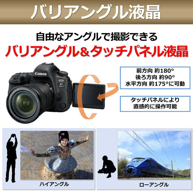 キヤノン　CANON キヤノン　CANON 【アウトレット】一眼レフカメラ EOS 6D Mark II ボディ EOS 6D Mark II ボディ