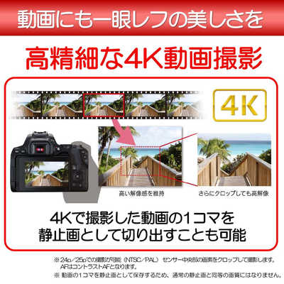 キヤノン CANON 一眼レフカメラ EOS Kiss X10 ボディ ブラック の通販