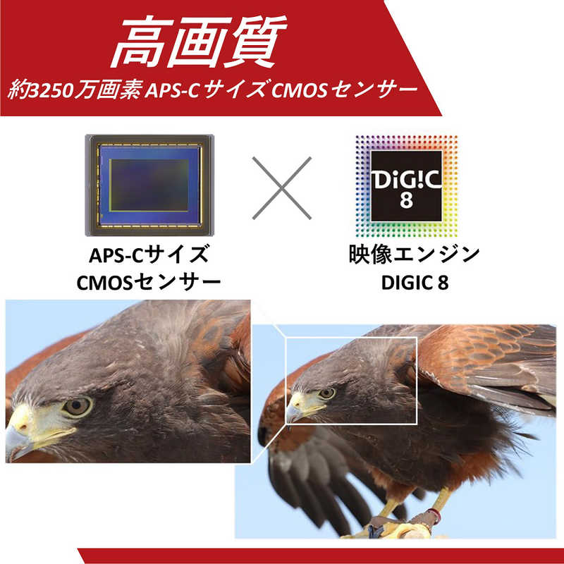 キヤノン Canon デジタル一眼レフカメラ Eos 90d 18ｰ135 Is Usm レンズキット Eos90disusmlk の通販 カテゴリ カメラ ビデオカメラ キヤノン Canon 家電通販のコジマネット 全品代引き手数料無料