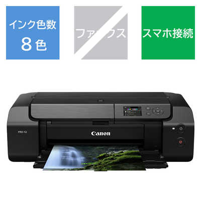 Canon インクジェット プリンター PIXUS PRO-100S 81oC2tizojL._UF1000,1000_QL80_.jpg