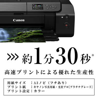 Canon pro1 プロ1 プリンター 高画質プリント PRO-1000 インクジェット