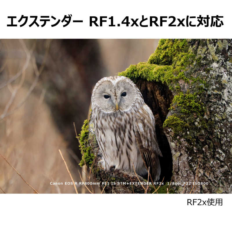 キヤノン　CANON キヤノン　CANON カメラレンズ RF800mm F11 IS STM RF800mm F11 IS STM