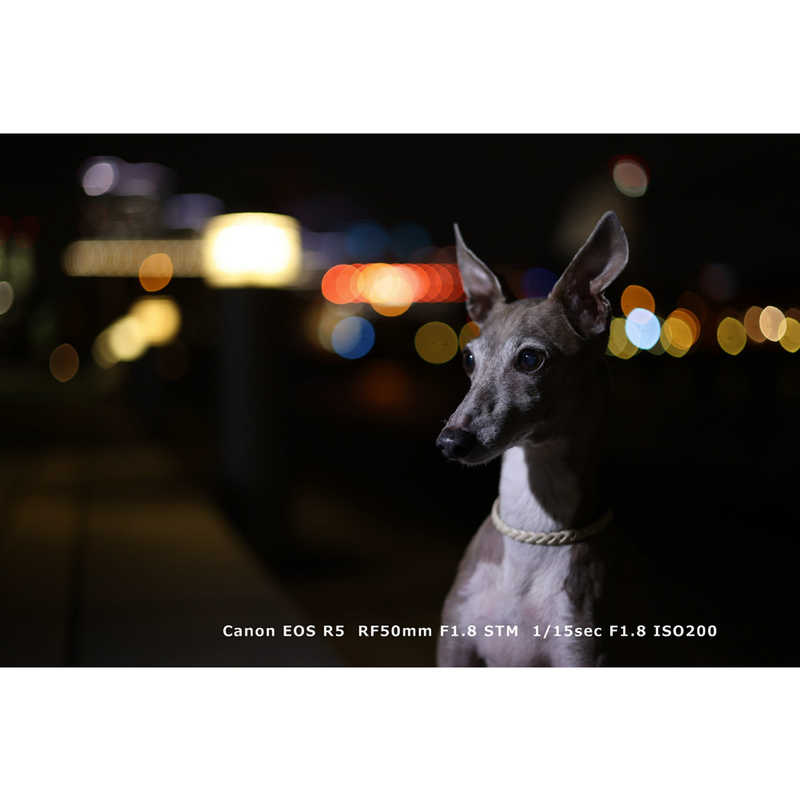 キヤノン　CANON キヤノン　CANON カメラレンズ RF50mm F1.8 STM RF50mm F1.8 STM