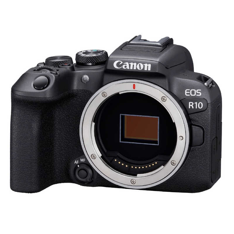 キヤノン CANON ミラーレス一眼カメラ EOS R10 ボディ の通販