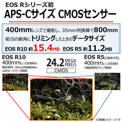 キヤノン CANON ミラーレス一眼カメラ EOS R10 ボディ の通販 キヤノン CANON ミラーレス一眼カメラ EOS R10 ボディ の通販