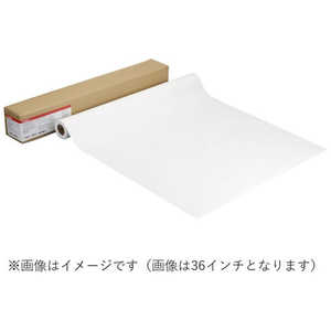 キヤノン CANON 〔インクジェット〕ロール紙 耐水ポスター合成紙(マット) 110g/m2 ［728mmx30.5m /1巻］ ［B1］ LFM-WRM2/B1/110
