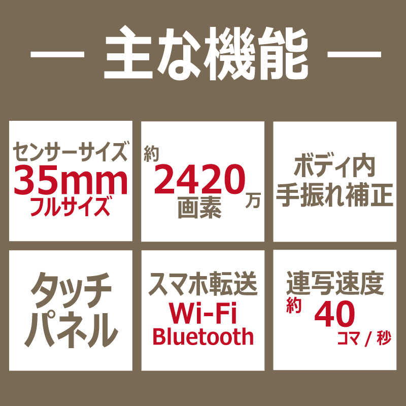 キヤノン　CANON キヤノン　CANON ミラーレス一眼カメラ EOS R6 Mark II ボディ EOS R6 Mark II ボディ