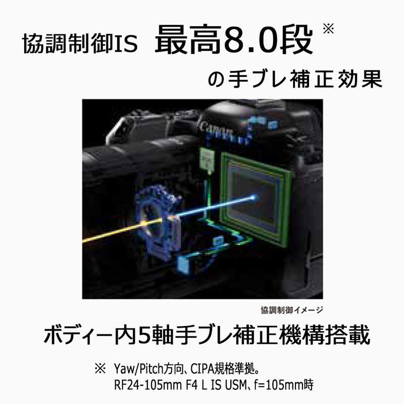 キヤノン　CANON キヤノン　CANON ミラーレス一眼カメラ EOS R6 Mark II ボディ EOS R6 Mark II ボディ