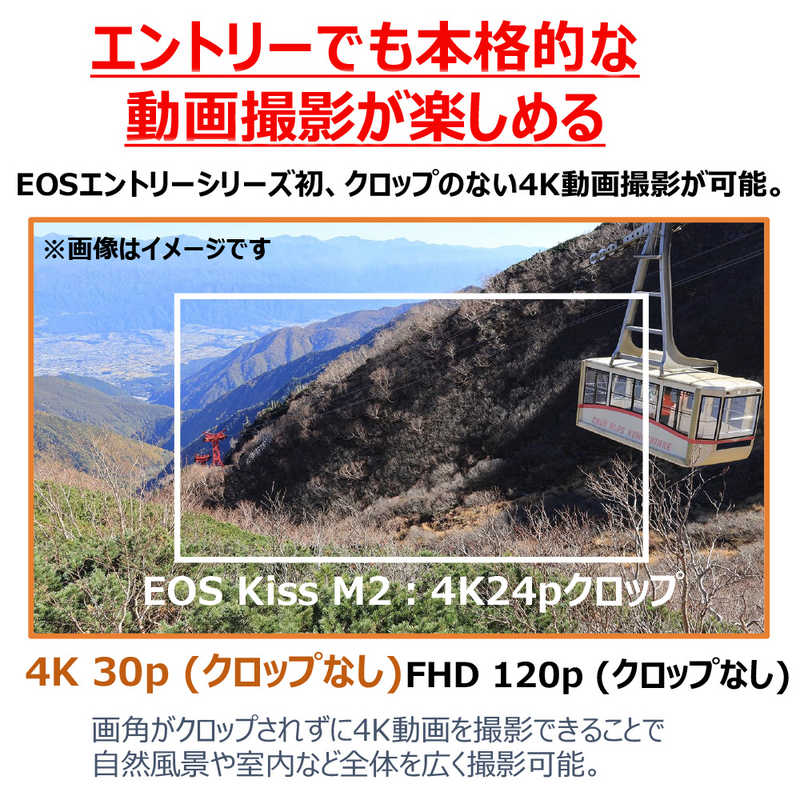 キヤノン　CANON キヤノン　CANON ミラーレス一眼カメラ ズームレンズキット EOSR50BK-1845ISSTMLK EOSR50BK-1845ISSTMLK
