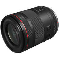 キヤノン CANON カメラレンズ RFレンズ RF-S14-30mm F4-6.3 IS STM PZ