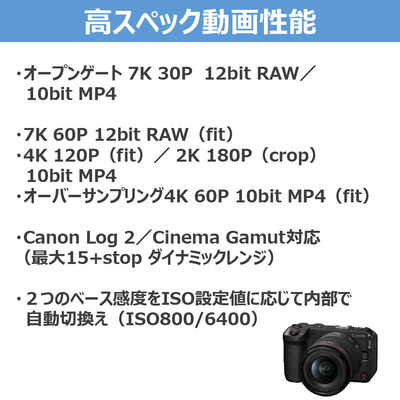 キヤノン CANON キヤノン ミラーレスカメラ EOS R6 V RF20-50mm F4 L
