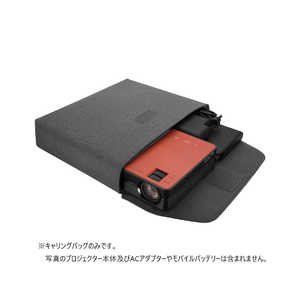 カシオ CASIO FORESIGHT VIEW専用 キャリングバッグ YB-3