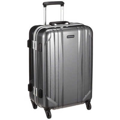 ACE スーツケース 50L ワールドトラベラー(World Traveler) サグレス