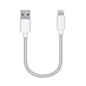 GR ELECOM LightningP[u X^_[h 0.1m zCg [0.1m RlN^܂܂] MPA-UAL01WH
