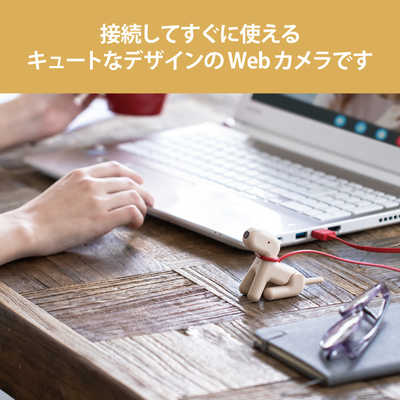 エレコム ELECOM ウェブカメラ マイク内蔵 wanco ブラウン 有線 UCAM