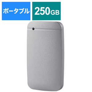 エレコム　ELECOM 外付けSSD USB3.2(Gen1)対応 Type-C&Type-A 250GB　ｼﾙﾊﾞｰ ESD-EFA0250GSVR