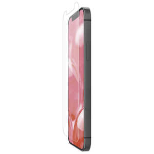 쥳 ELECOM iPhone 13 Pro Max ե ɻ PMA21DFLF