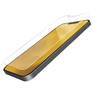 エレコム　ELECOM iPhone 13 Pro Max 6.7インチ ガラスフィルム PM-A21DFLGG
