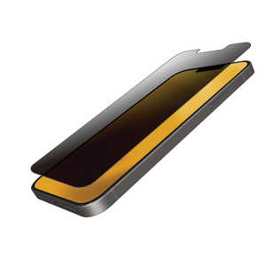 エレコム　ELECOM iPhone2021 6.1inch 2眼･3眼兼用/ガラスフィルム/覗防 PM-A21BFLGGPF