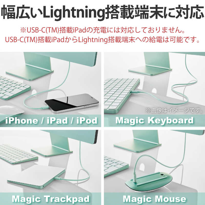 エレコム　ELECOM エレコム　ELECOM USB-C ⇔ Lightningケーブル [充電 /転送 /1m /USB Power Delivery /MFi認証] グリーン U2C-APCL10GN U2C-APCL10GN