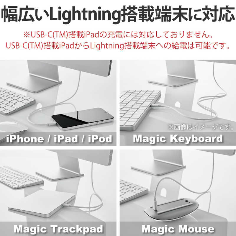 エレコム　ELECOM エレコム　ELECOM USB-C ⇔ Lightningケーブル [充電 /転送 /1m /USB Power Delivery /MFi認証] シルバー U2C-APCL10SV U2C-APCL10SV