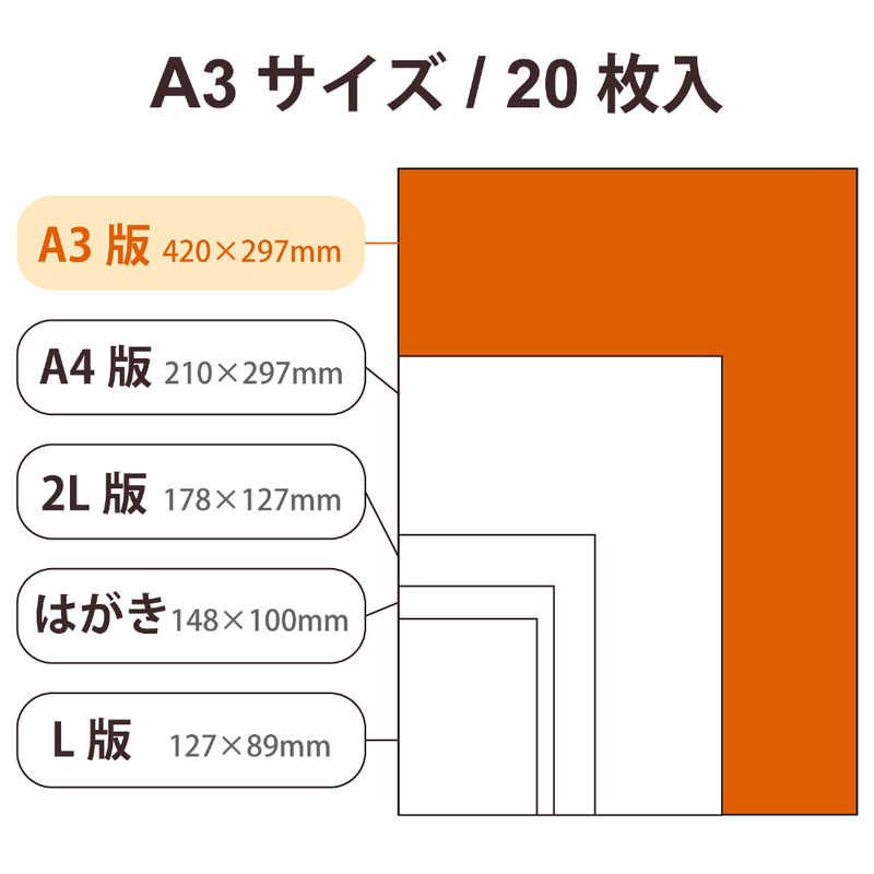 エレコム　ELECOM エレコム　ELECOM プリンター用紙 写真用紙 A3 20枚 光沢 高グレード 厚手 ホワイト EJK-HQA320 EJK-HQA320