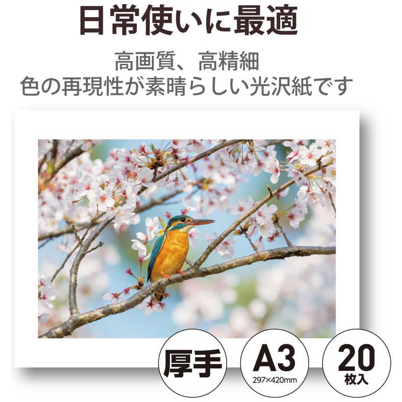 エレコム　ELECOM エレコム　ELECOM プリンター用紙 写真用紙 A3 20枚 光沢 高グレード 厚手 ホワイト EJK-HQA320 EJK-HQA320