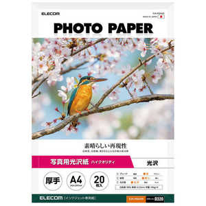 エレコム ELECOM プリンター用紙 写真用紙 A4 20枚 光沢 高グレード 厚手 ホワイト EJK-HQA420 エレコム ELECOM プリンター用紙 写真用紙 A4 20枚 光沢 高グレード 厚手 ホワイト EJK-HQA420