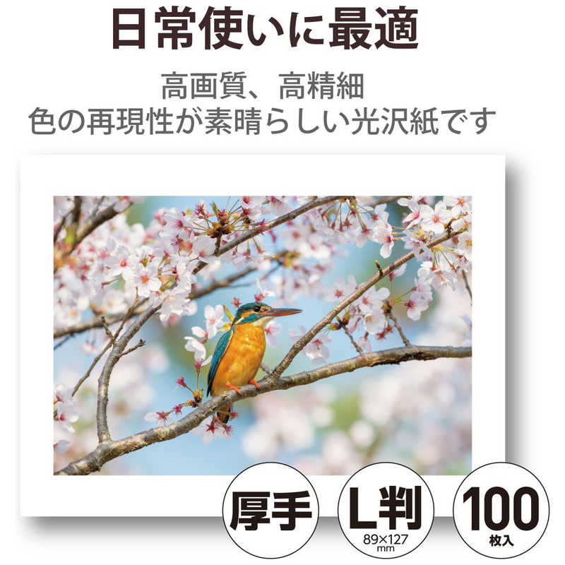エレコム　ELECOM エレコム　ELECOM プリンター用紙 写真用紙 L判 100枚 光沢 高グレード 厚手 ホワイト EJK-HQL100 EJK-HQL100