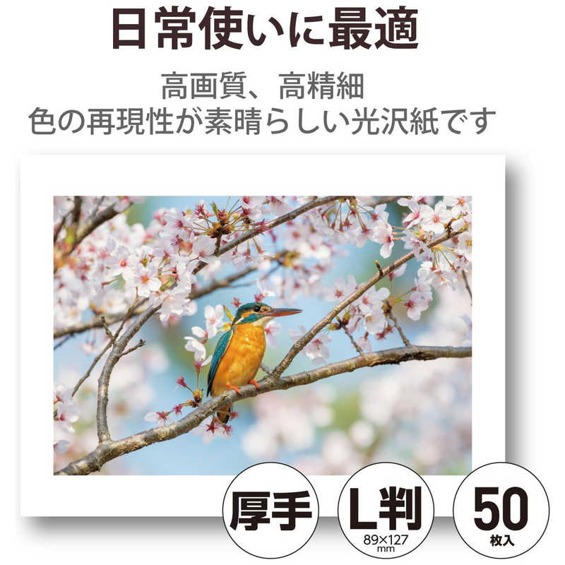 エレコム　ELECOM エレコム　ELECOM プリンター用紙 写真用紙 L判 50枚 光沢 高グレード 厚手 ホワイト EJK-HQL50 EJK-HQL50