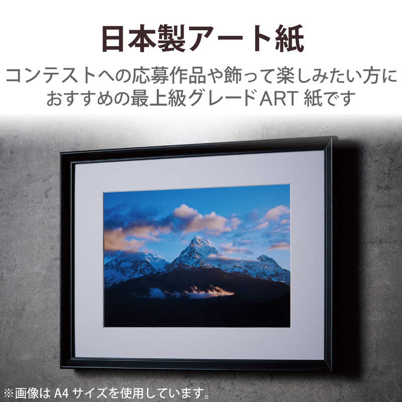 エレコム　ELECOM エレコム　ELECOM プリンター用紙 写真用紙 A3 10枚 マット 写真用アートペーパー 最上級グレードART紙 厚手 クオリティマット インクジェット用紙 ホワイト EJKQMA310 EJKQMA310