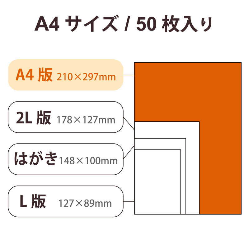 エレコム　ELECOM エレコム　ELECOM プリンター用紙 写真用紙 A4 50枚 光沢 厚手 インクジェット用紙 ホワイト EJK-VLA450 EJK-VLA450