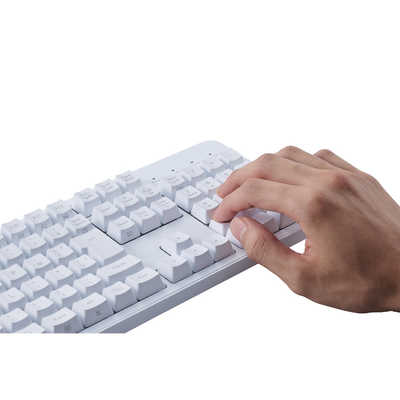 エレコム キーボード Leggero 有線 ホワイト TK-MC50UKTWH エレコム メカニカルキーボード Leggero 有線 テンキーレス Nキー