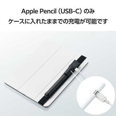 Apple Pencil ホワイト(USB-C) 専用ケース付き Apple Pencil（USB-C）[整備済製品] - ビジネス - Apple (日本)