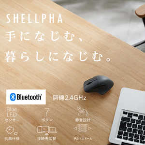 쥳 ELECOM ޥ SHELLPHA S  [BlueLED /̵ /7ܥ /BluetoothUSB] ֥å M-SH31MBSKBK