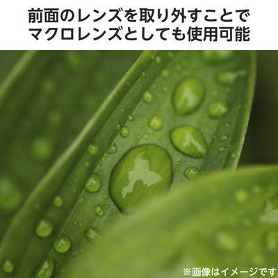 エレコム ELECOM セルカレンズ 広角レンズ 0.4倍 ブラック P-SLW04BK