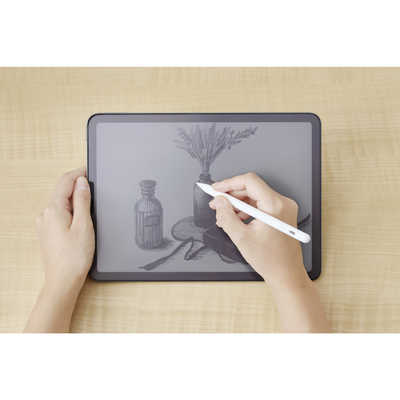 エレコム ELECOM iPad用 ペンシル 充電式 スタイラスペン USB Type-C