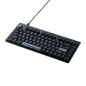 エレコム ELECOM ゲーミングキーボード 有線 磁気スイッチ 75％サイズ ロープロファイル ラピッドトリガー US配列 RGB 着脱式ケーブル テンキーレス Win 11/ 10
