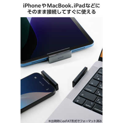 エレコム ELECOM 外付け SSD 250GB 超小型 直挿し USB 3.2 Gen2x2