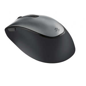 マイクロソフト　Microsoft 有線BlueLEDマウス[USB･Win/Mac]Comfort Mouse 4500 グレｰ 4FD-00034