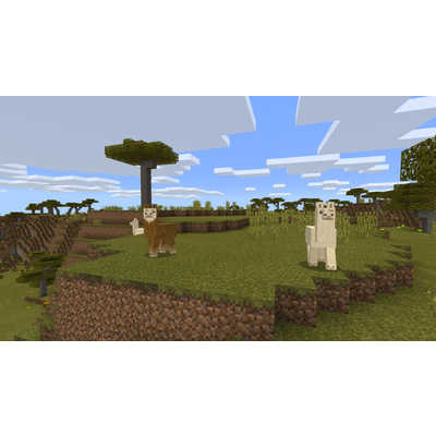 マイクロソフト Microsoft Switchゲームソフト Minecraft マイン