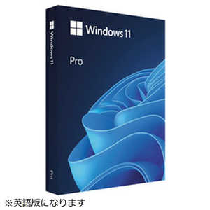 マイクロソフト Microsoft Windows 11 Pro 英語版 受発注商品 HAV00163