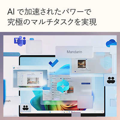 マイクロソフト Microsoft Surface Pro 第11世代 [13.0型
