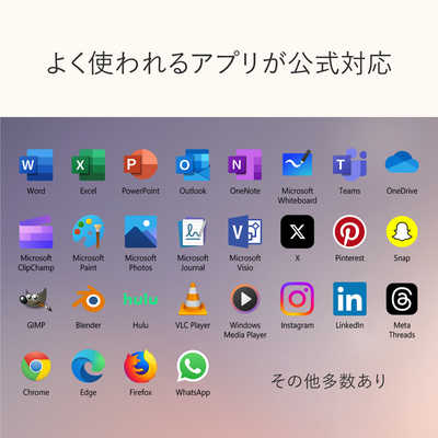 マイクロソフト Microsoft Surface Pro 12インチ ［Copilot＋ PC/Win11