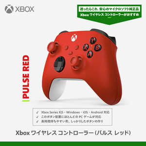 �}�C�N���\�t�g Microsoft Xbox ���C�����X �R���g���[���[ �p���X ���b�h EP2-29937