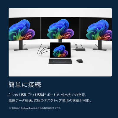 マイクロソフト Microsoft Surface Pro12 プラチナ 13.0型/Windows11