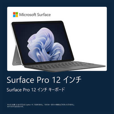 マイクロソフト Microsoft Surface Pro 12 インチ Snapdragon X Plus